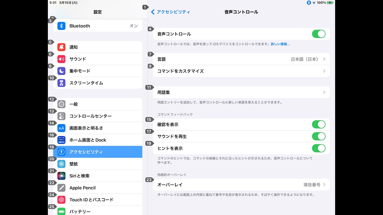 iPadOS15.4で日本語に対応するようになったアクセシビリティ機能《音声コントロール》の使い方20220315_#0673
