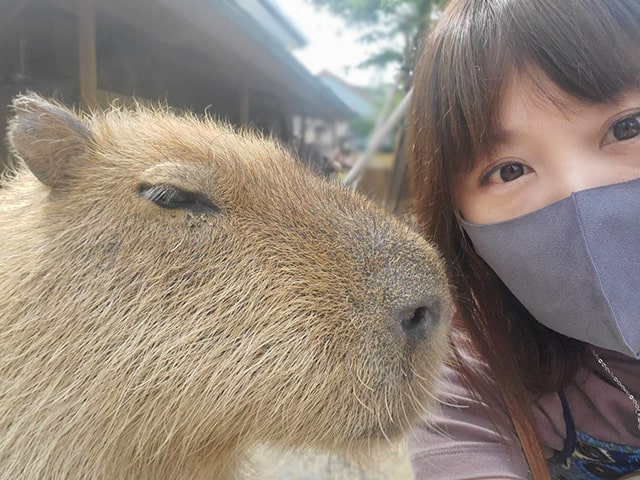 社会性、経済性そして人間性について / 齊藤恵美